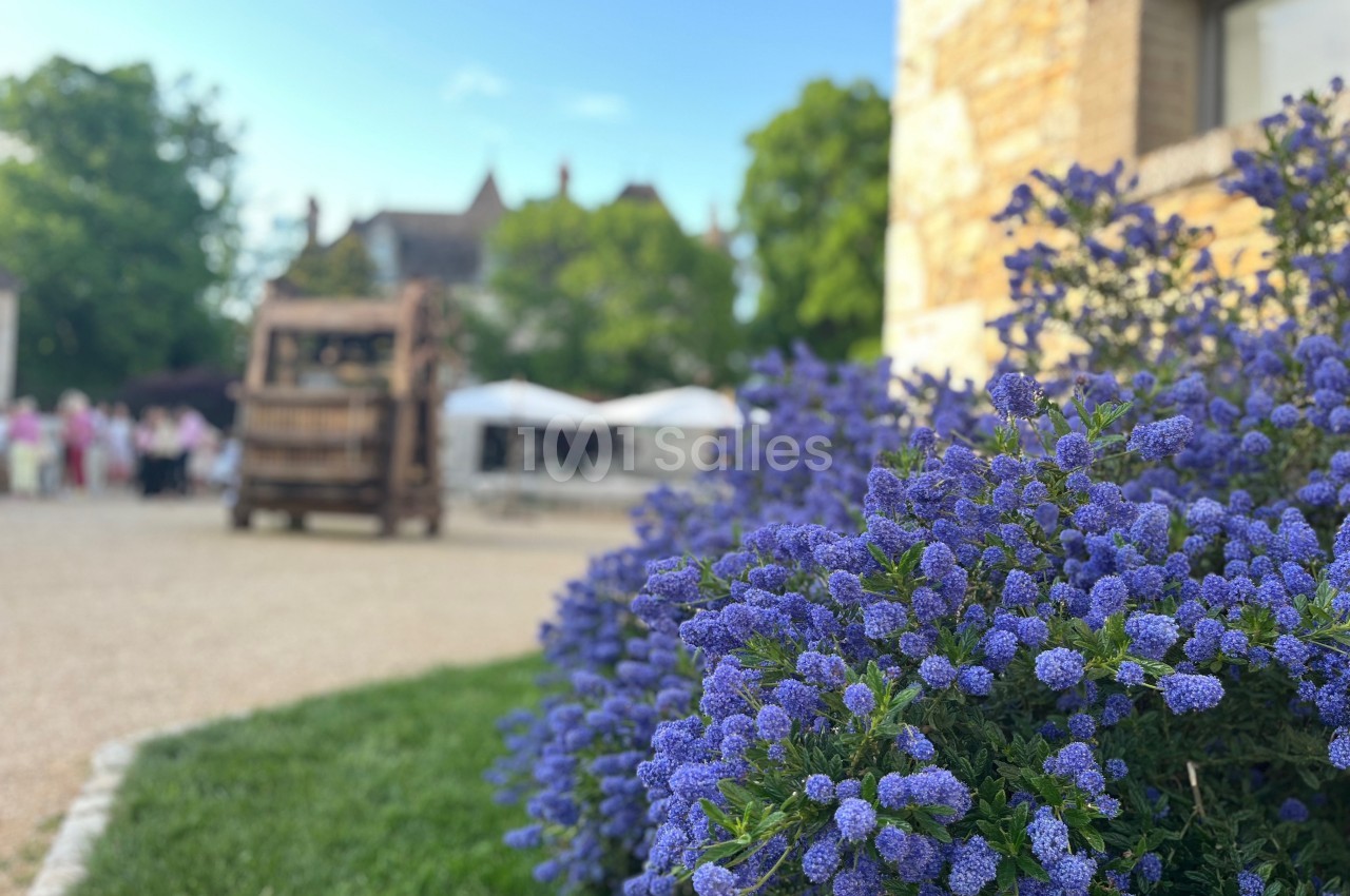Château du Mauny - galerie - photo 43
