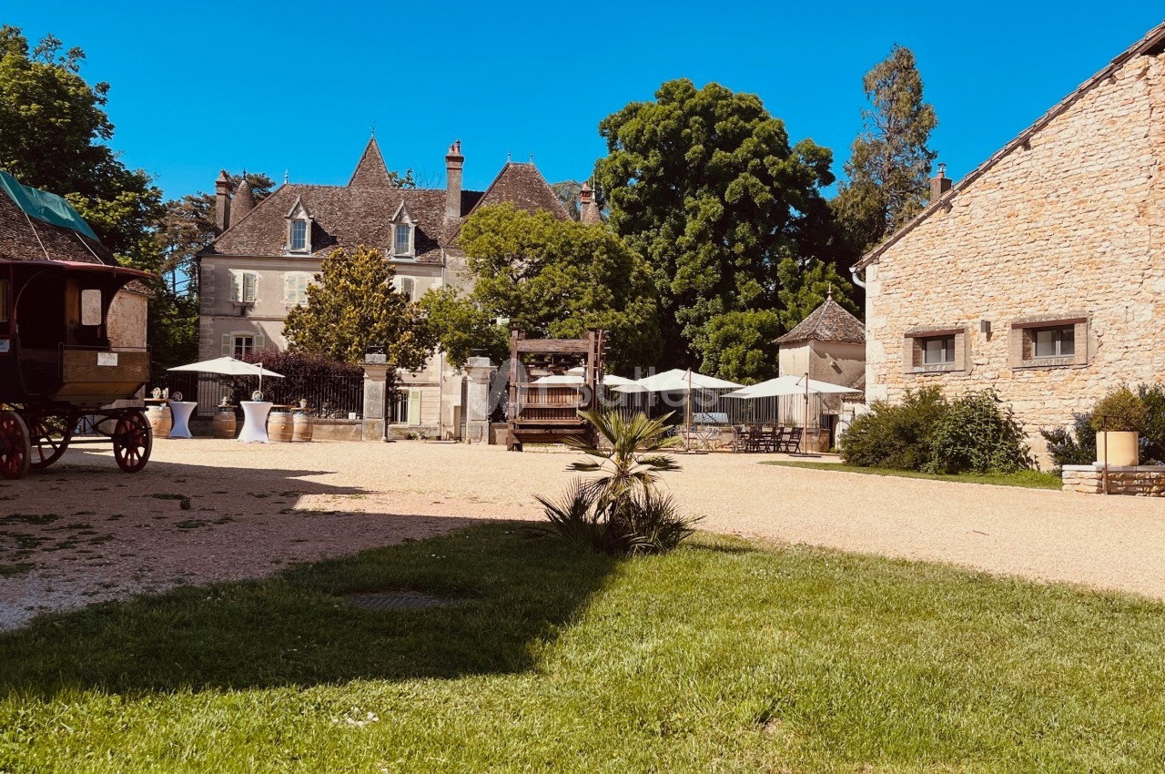 Château du Mauny - galerie - photo 2