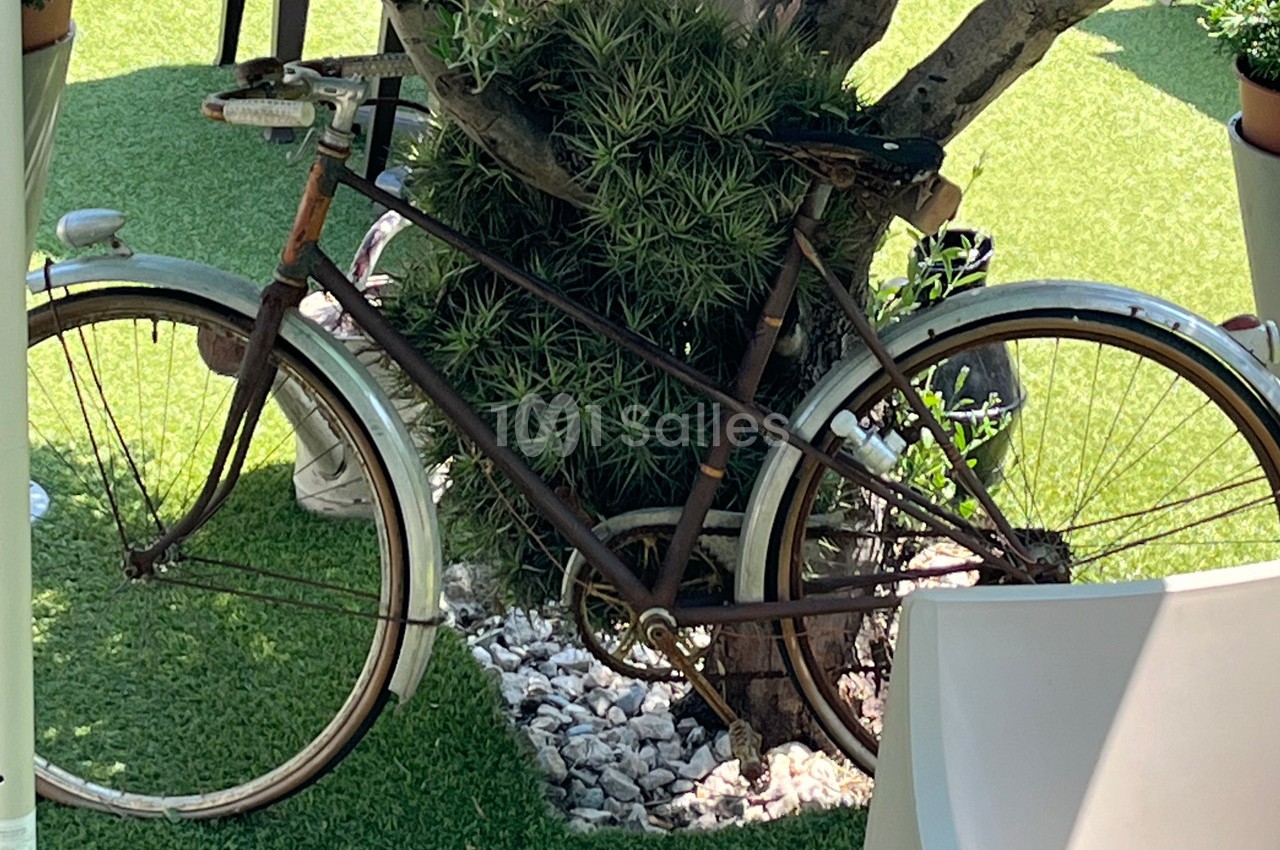 Vélo ancien rouillé appuyé contre un arbre, entouré de plantes et posé sur une pelouse artificielle.
