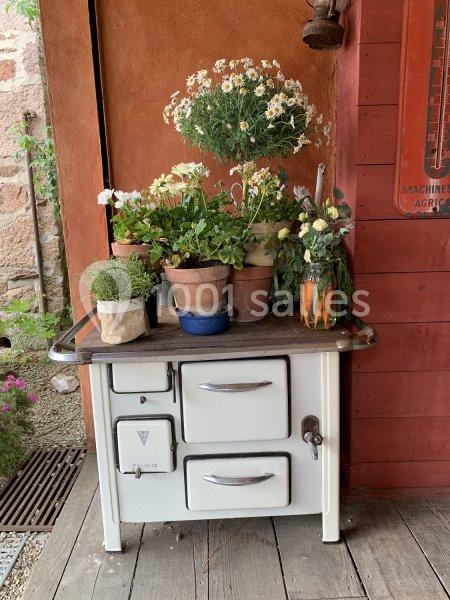 Plantes en pots disposées sur une vieille cuisinière blanche en extérieur, contre un mur rouge et orange.