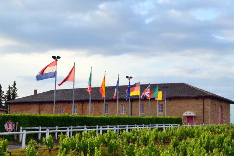Domaine de L'Ordre des Compagnons du Beaujolais - photo 3
