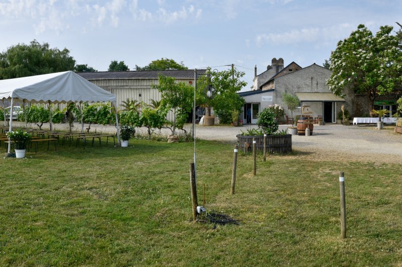 Domaine du Buttay - photo 3