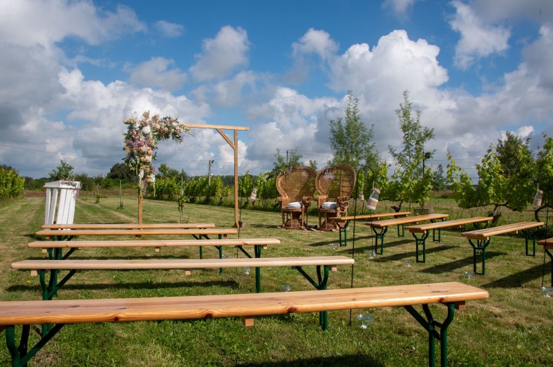 Domaine du Buttay - photo 2