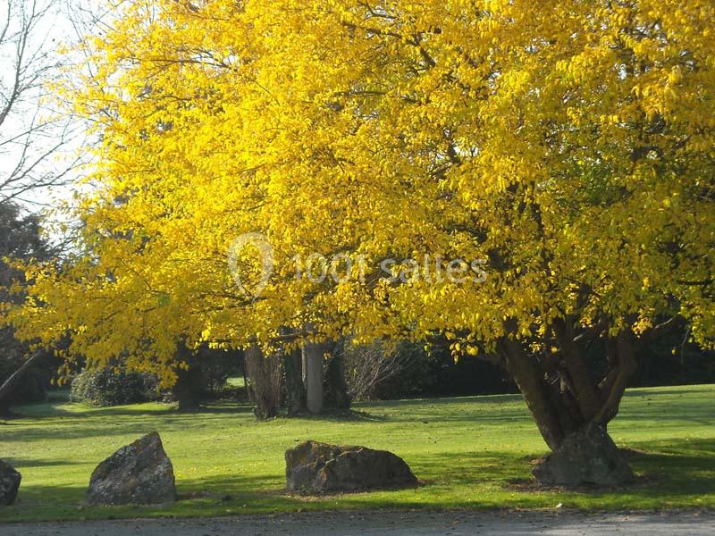 Les Ormeaux - galerie - photo 12