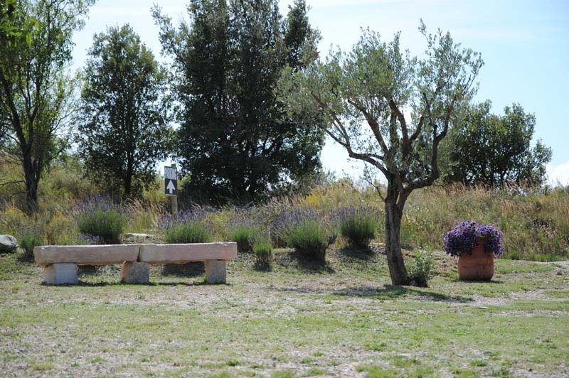 La Bergerie du Mas - photo 5