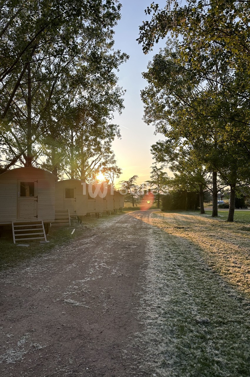 Chemin bordé de roulottes en bois au coucher du soleil, entouré d'arbres et d'herbe parsemée de pollen.