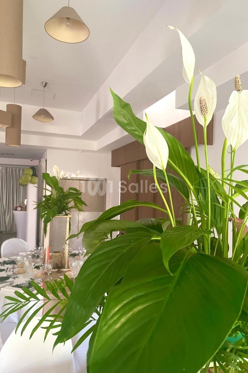 Plante verte avec fleurs blanches en premier plan dans une salle lumineuse décorée pour un événement.