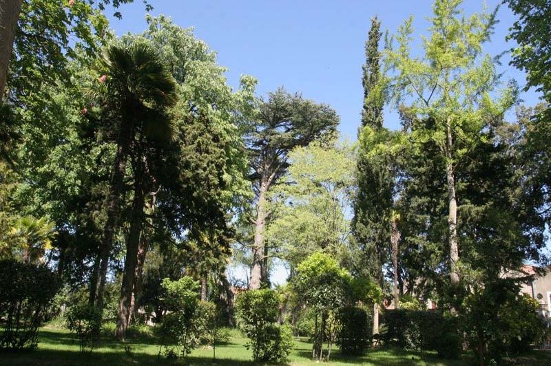 La Bergerie de la Vernède - photo 2