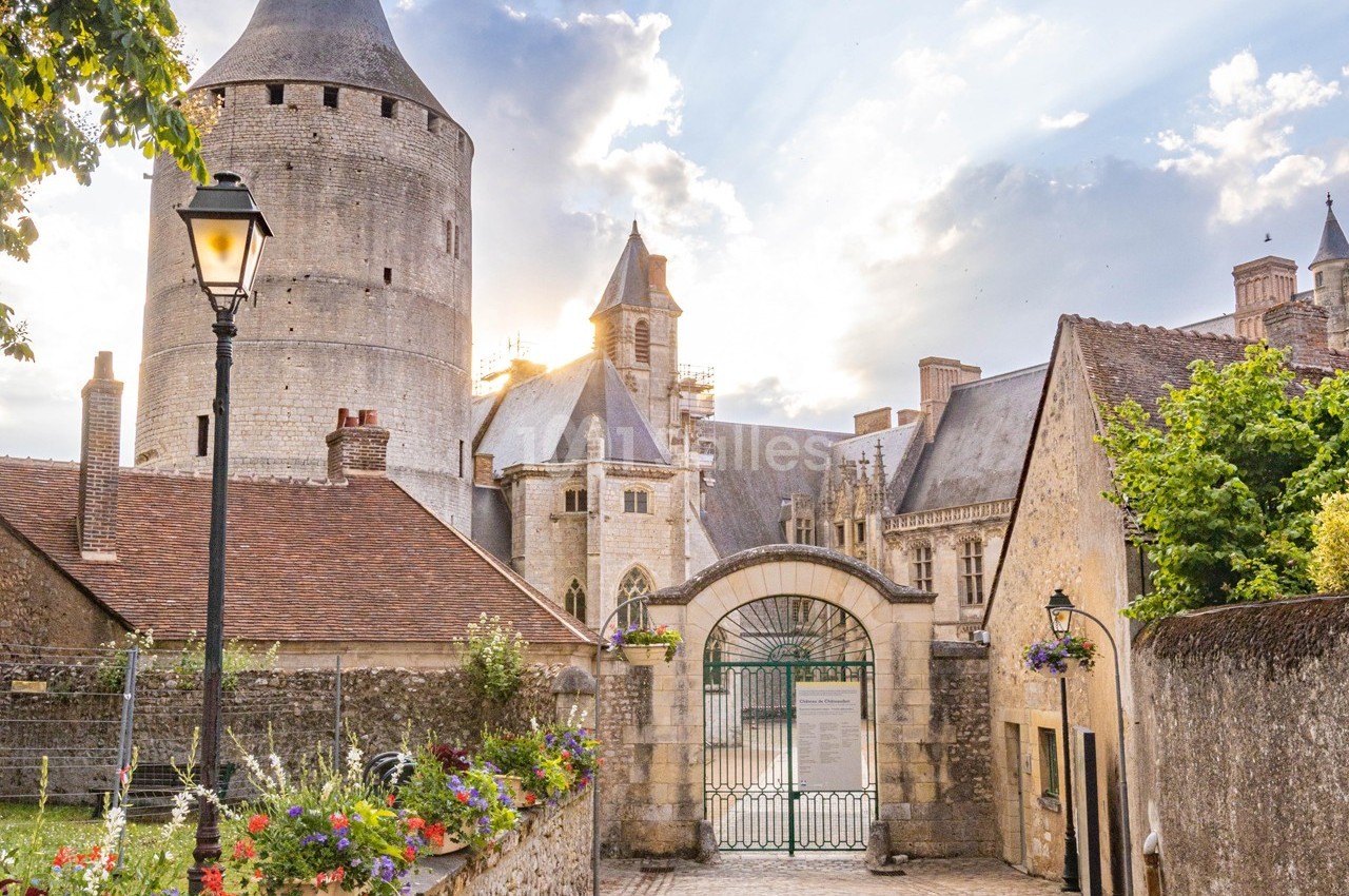 Vue d'un château médiéval avec tours, murs en pierre, portail en fer forgé et fleurs en premier plan au coucher du soleil.