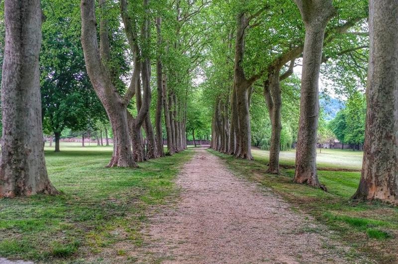 Hôtel Et Spa Abbaye Ecole De Soreze - photo 2