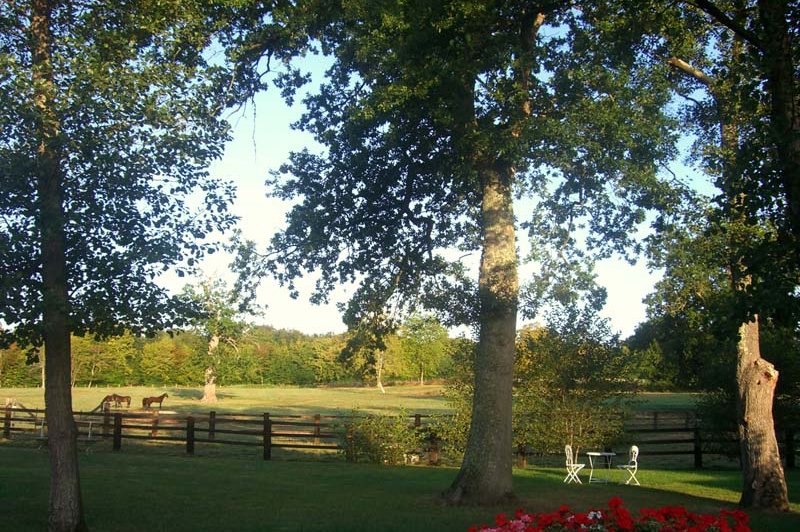 Domaine De La Tour - photo 3