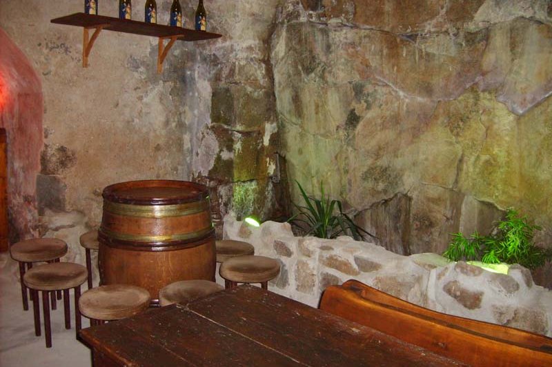 Domaine Château Du Buisson - photo 3