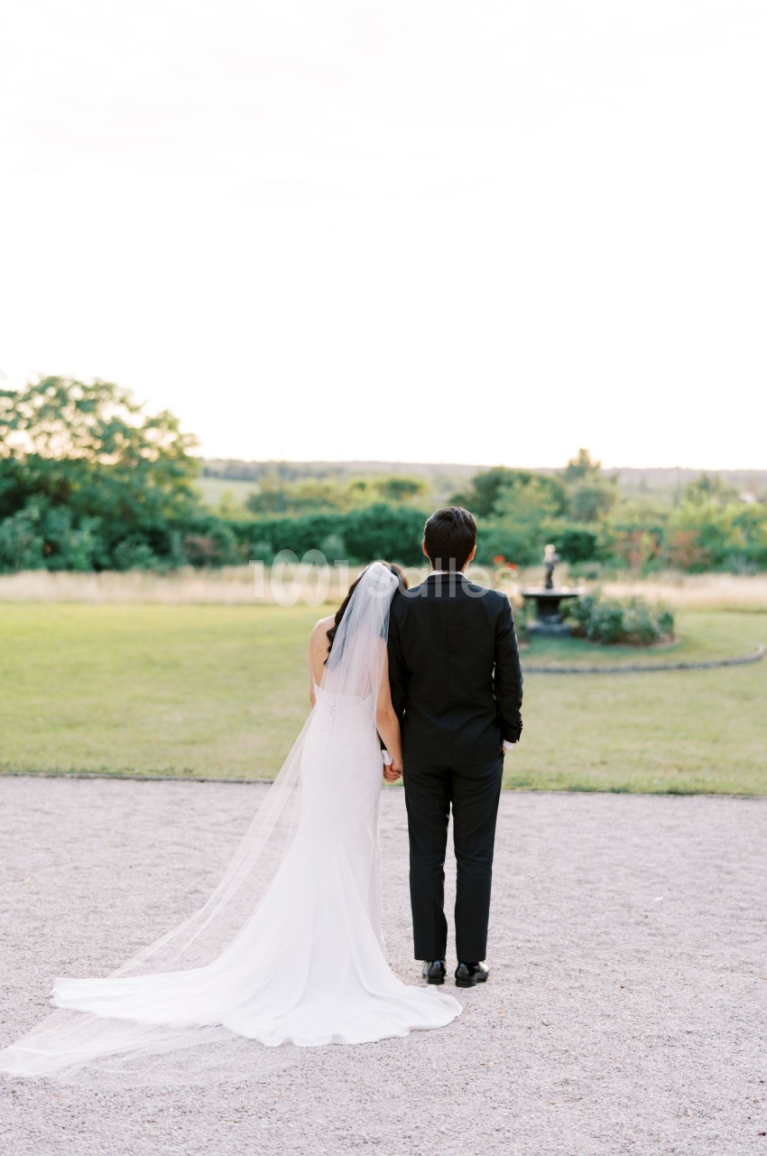 Un couple de dos, vêtu de tenue de mariage, regarde un jardin avec pelouse et fontaine sous un ciel clair.