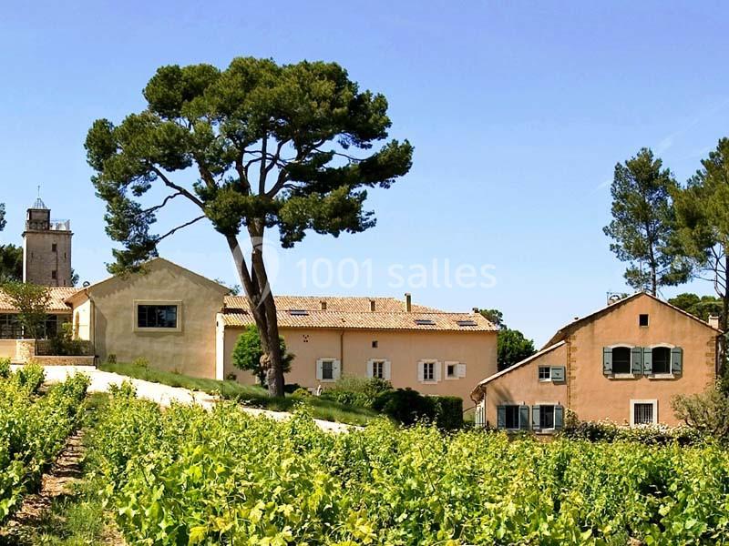 Vue d'un domaine viticole avec des bâtiments en pierre, un grand pin et des vignes au premier plan.