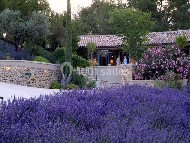 Massif de lavande en fleurs devant une maison en pierre avec toit en tuiles, entourée d'arbres et d'arbustes fleuris.