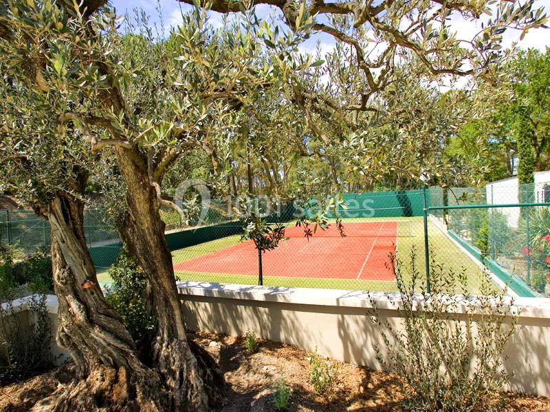 Terrain de tennis entouré d'arbres et de végétation, avec un olivier au premier plan.