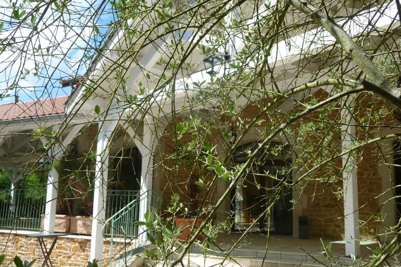 Le  Domaine Des Oliviers - photo 1