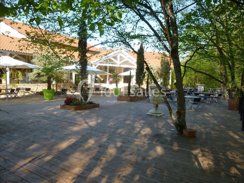 Le  Domaine Des Oliviers - galerie - photo 12