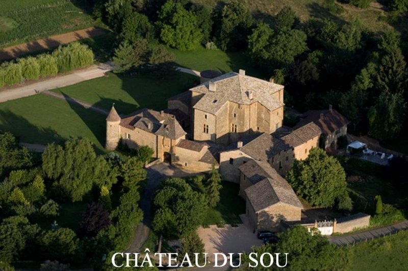 Château Du Sou - photo 4