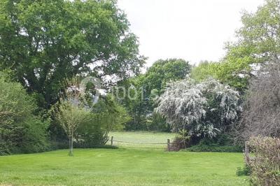 La Petite Motte - photo 4