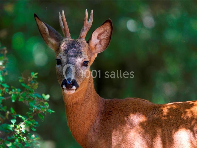 Golf Du Claux-amic - galerie - photo 6