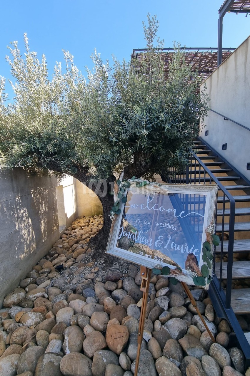Panneau de bienvenue pour un mariage, posé sur un chevalet devant un olivier et un escalier extérieur en bois.