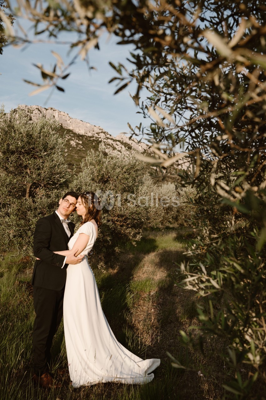 Un couple en tenue de mariage pose dans un champ d'oliviers sous une lumière douce.
