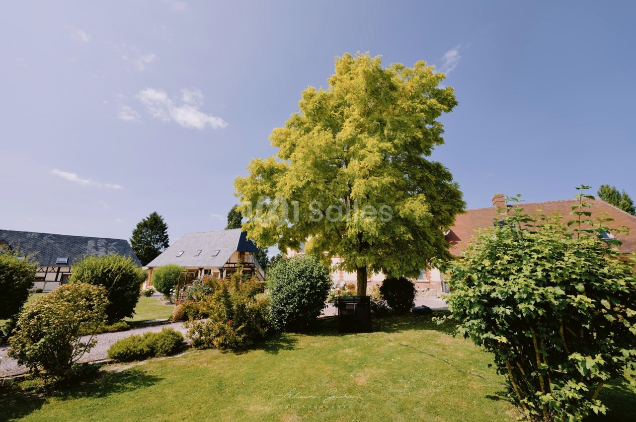Arbre au feuillage dense dans un jardin verdoyant, entouré de buissons et de maisons à l'architecture traditionnelle.