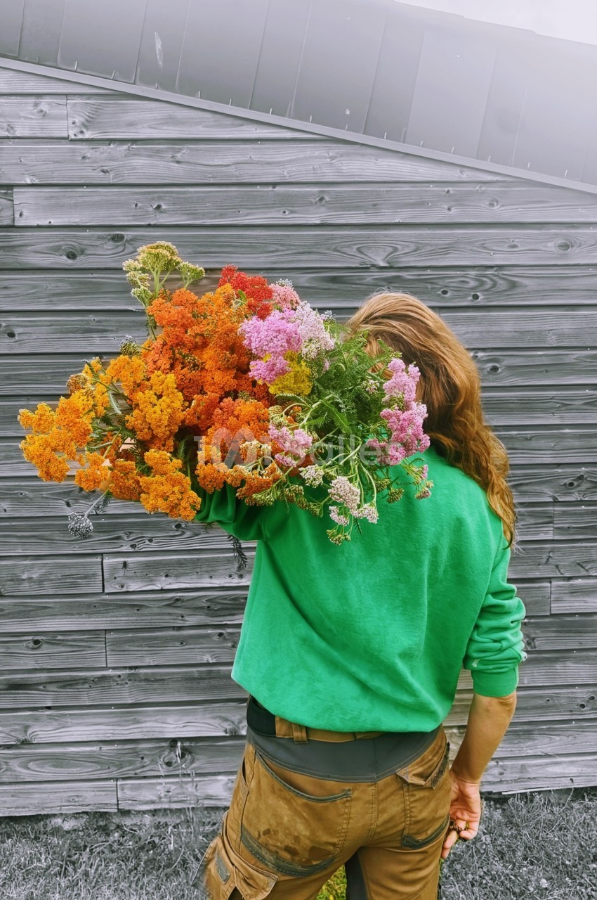 Une personne de dos portant un grand bouquet de fleurs colorées devant un mur en bois gris.