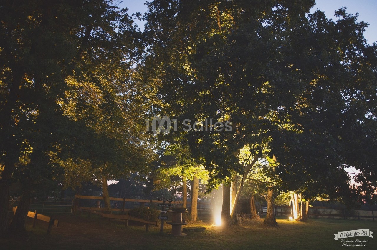 Éclairage nocturne diffus à travers des arbres dans un jardin, avec des bancs et une clôture en arrière-plan.