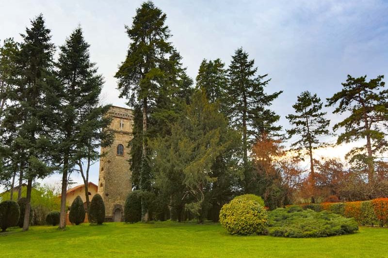 Domaine Des Cèdres - photo 1