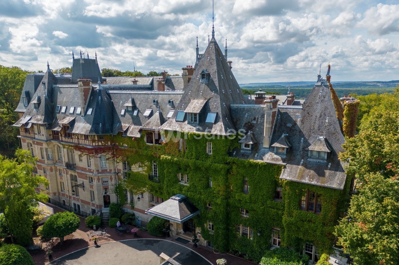 Vue aérienne d'un château couvert de lierre, entouré de végétation, sous un ciel partiellement nuageux.
