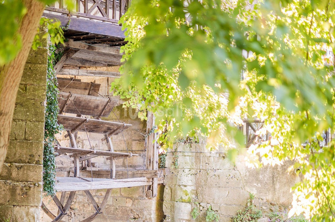 Roue de moulin en bois entourée de végétation, fixée à un mur en pierre dans un cadre naturel lumineux.