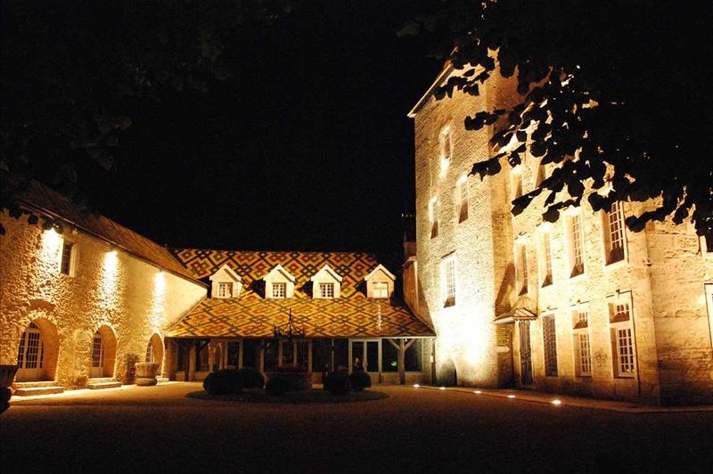 Château De Santenay - photo 3