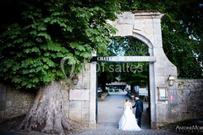 Château De Santenay - photo 5