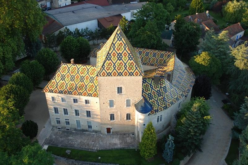 Château De Santenay - photo 1