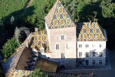 Château De Santenay - photo 2
