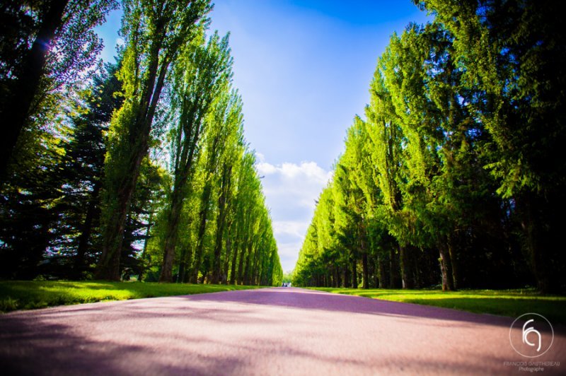 Domaine De La Muette - Rftp - photo 1