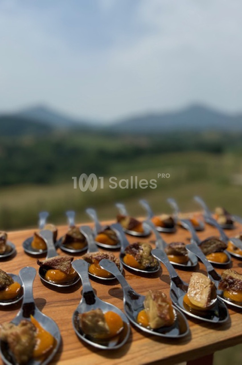 Cuillères en métal garnies de morceaux de viande et de purée orange, disposées sur une planche en bois en extérieur.