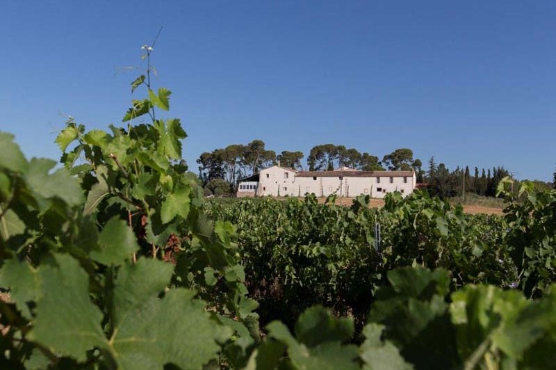 Domaine de Buzarens - photo 1