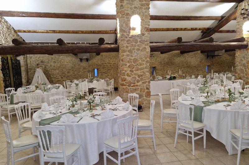 Château de Sénéguier - photo 4