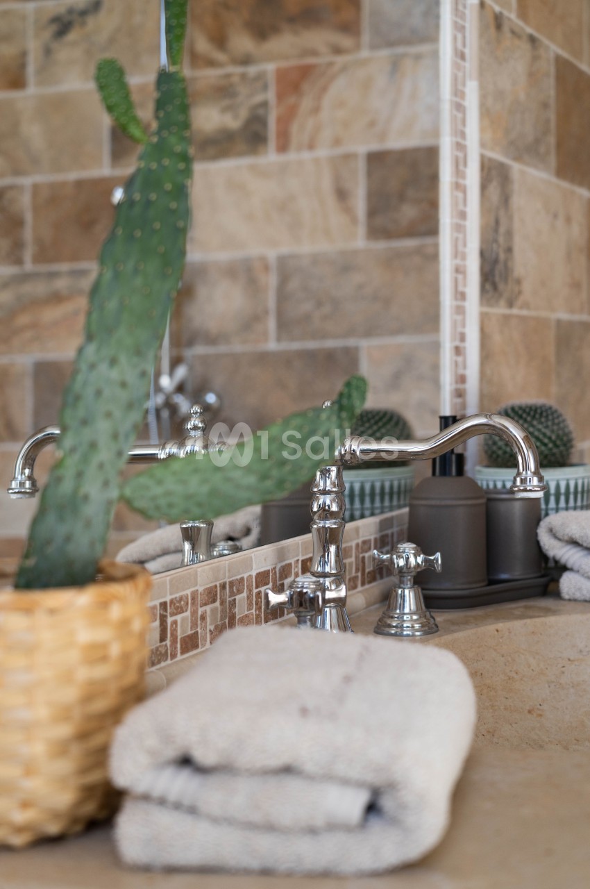 Un lavabo avec robinetterie chromée, décoré d'une plante en pot et de serviettes pliées sur un plan en pierre.