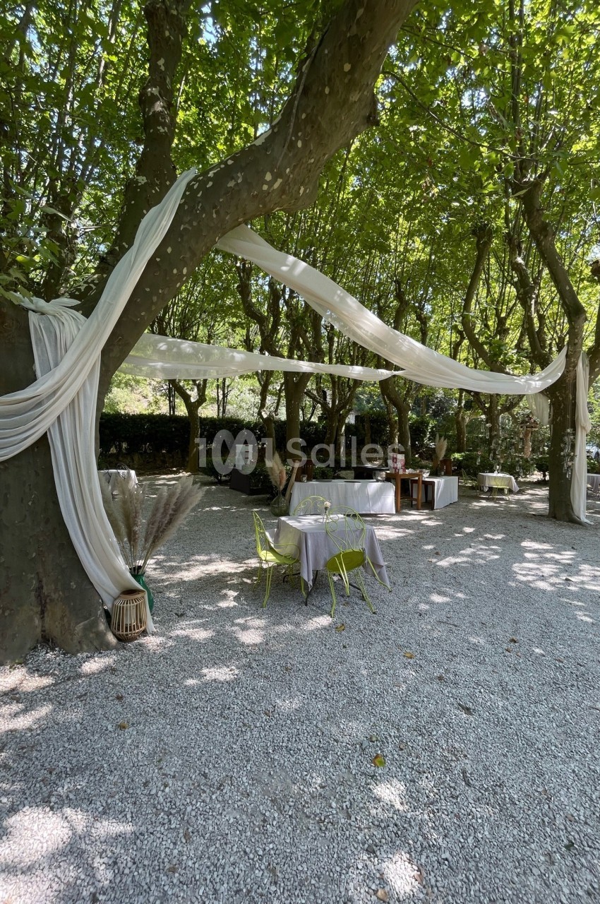 Tables dressées sous des arbres avec des voilages blancs suspendus, dans un espace extérieur ombragé et gravillonné.