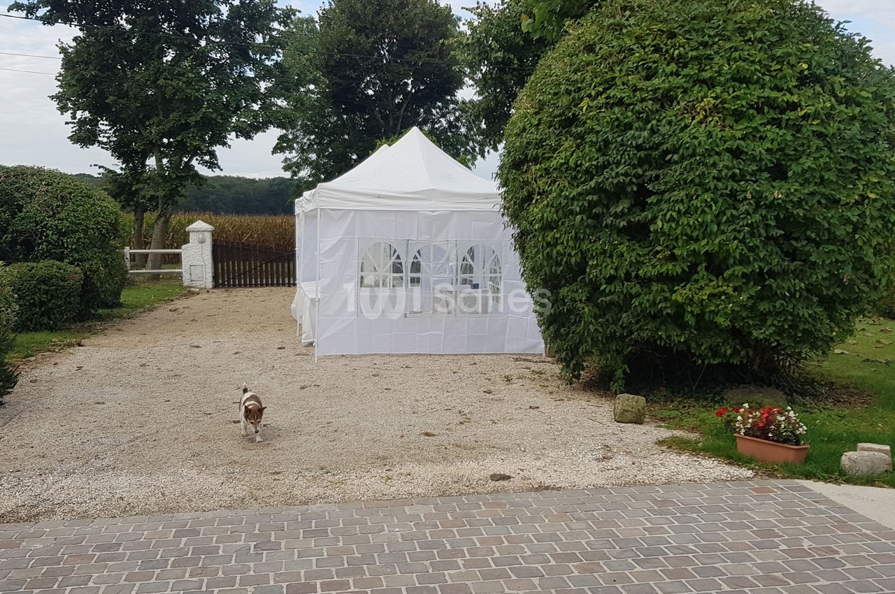 Tente blanche installée sur une allée gravillonnée, entourée de haies et d'arbres, avec un petit chien au premier plan.