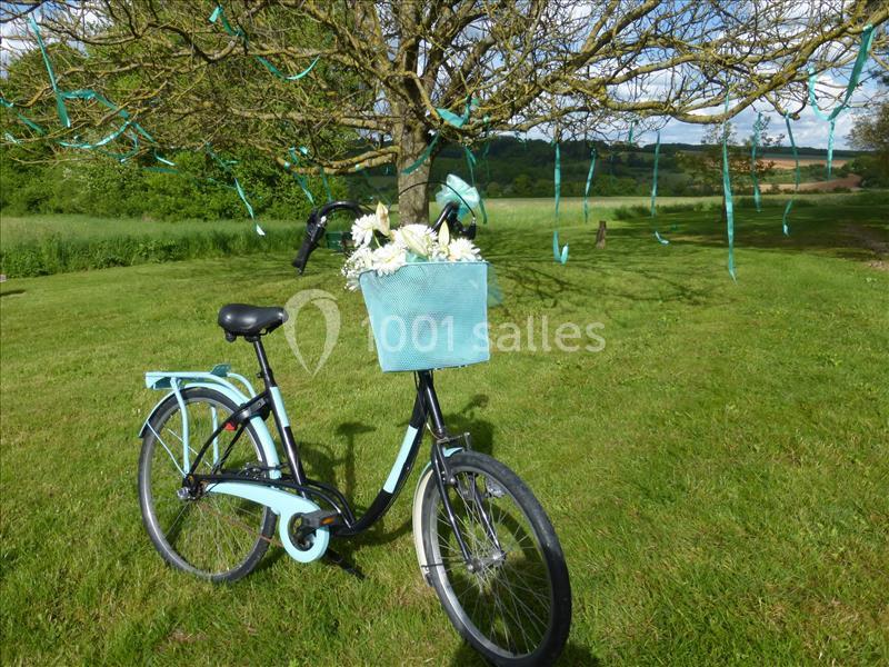 Vélo bleu avec un panier rempli de fleurs blanches, posé sur une pelouse près d'un arbre décoré de rubans bleus.