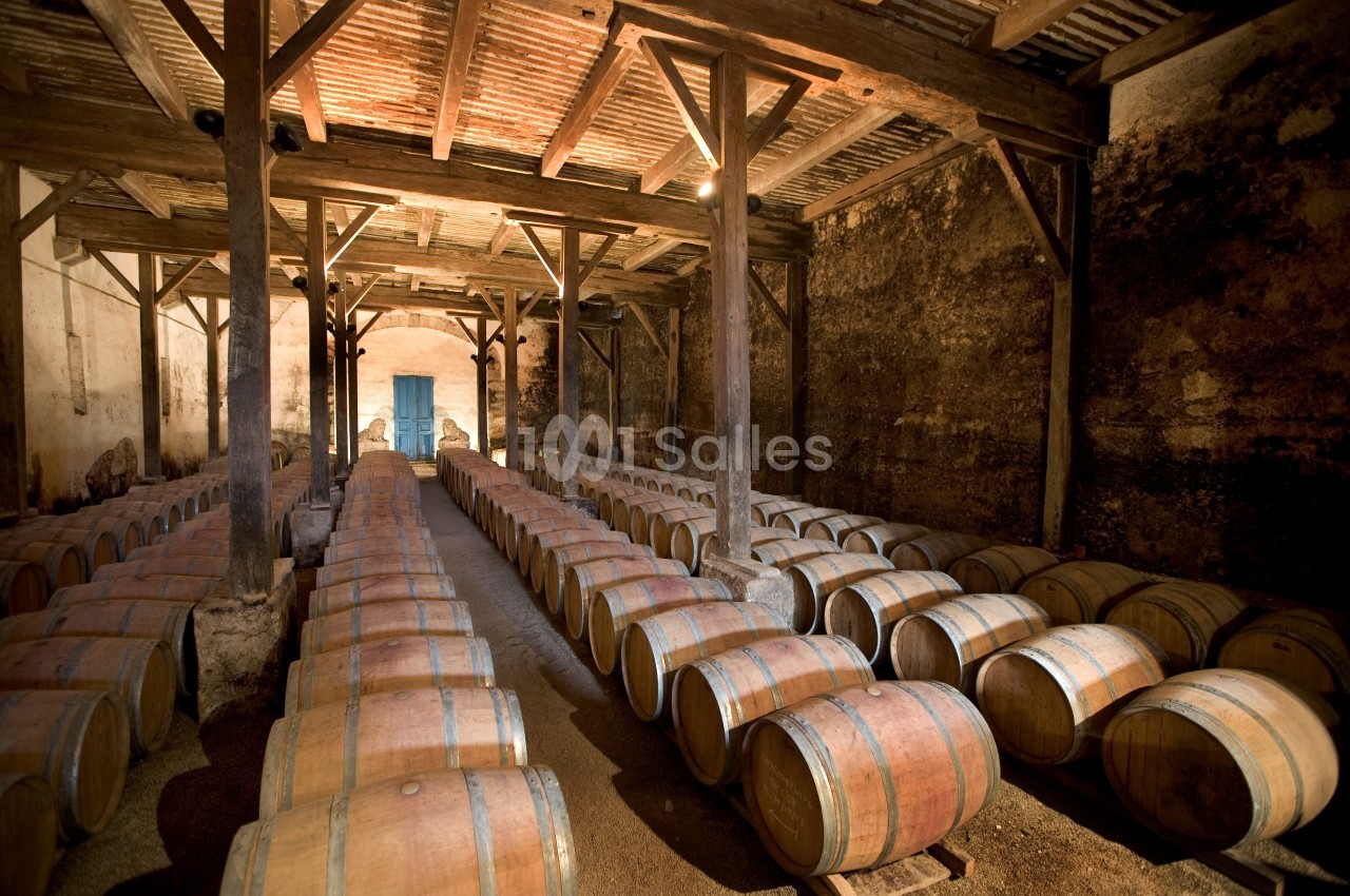 Château de Raissac - galerie - photo 10