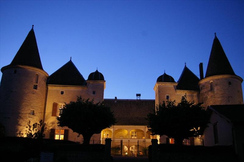 Château De Varennes - photo 5