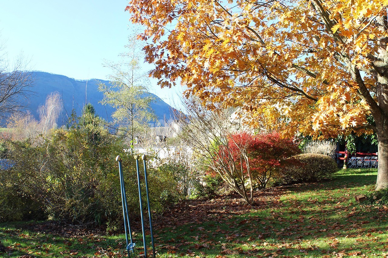 Les Jardins du Cot - galerie - photo 22