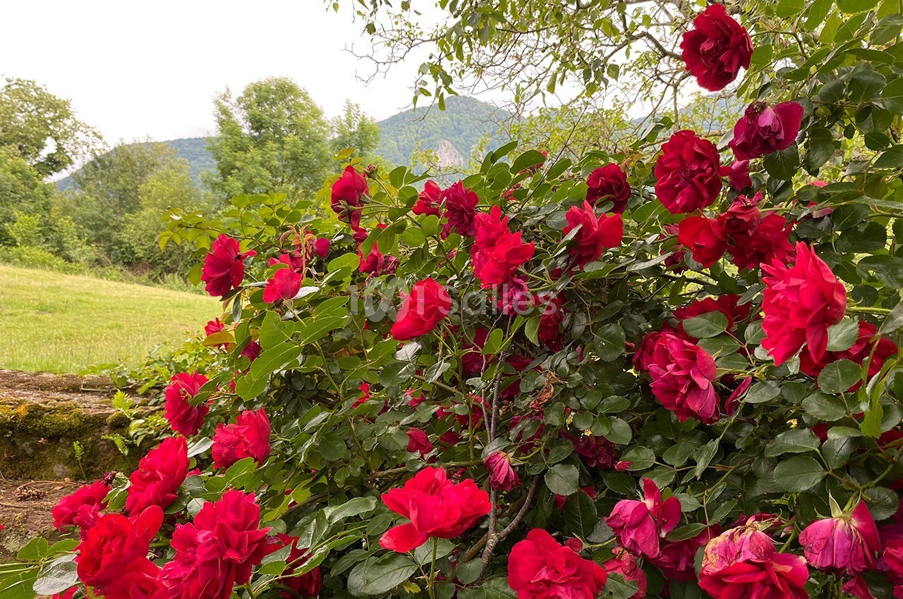 Les Jardins du Cot - galerie - photo 25