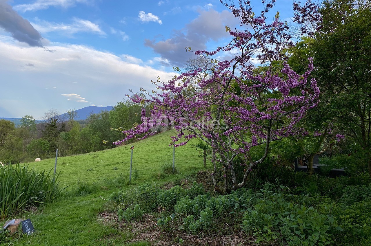 Les Jardins du Cot - galerie - photo 23